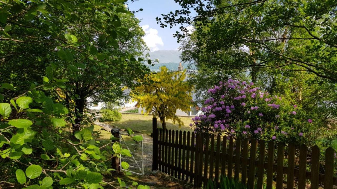 Hunters Lodge Apartments بالاتْشولِش المظهر الخارجي الصورة